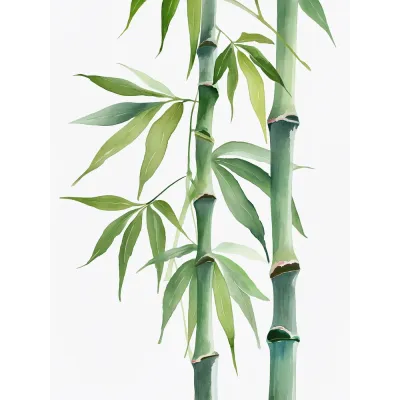 Suluboya Botanik Bambu Kanvas Tablo