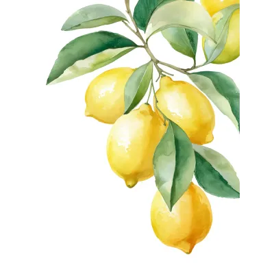 Suluboya Botanik Limon Dalı Kanvas Tablo