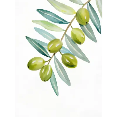 Suluboya Botanik Zeytin Dalı Kanvas Tablo