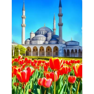 Laleler ve Edirne Selimiye Camii Kanvas Tablo