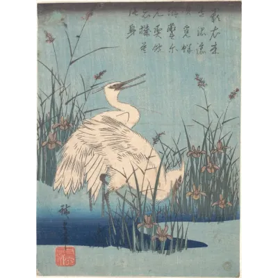 Hiroshige Süsenler Arasında Ak Balıkçıllar Kanvas Tablo