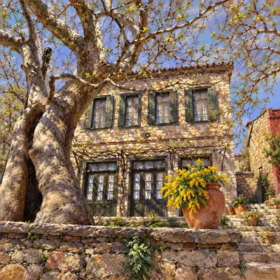 Çınar Altında Eski Taş Ev Kanvas Tablo