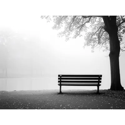 Minimal Siyah Beyaz Yalnız Bank Kanvas Tablo