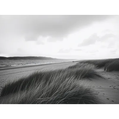 Siyah Beyaz Film Rüzgârlı Kumsal Kanvas Tablo