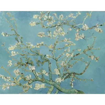 Van Gogh Badem Çiçekleri Kanvas Tablo