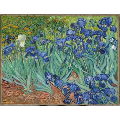 Van Gogh Süsenler Kanvas Tablo
