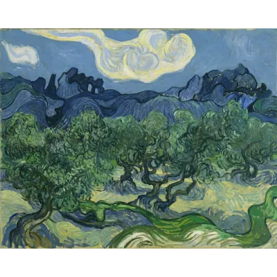 Van Gogh Zeytin Ağaçları Kanvas Tablo