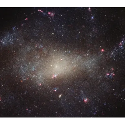 NASA Hubble Av Köpekleri Galaksisi Kanvas Tablo