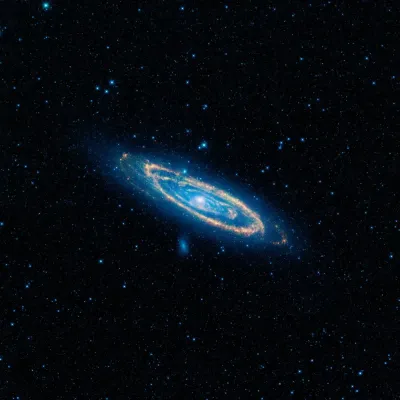 NASA WISE Komşumuz Andromeda Kanvas Tablo