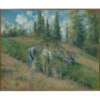 Pissarro Pontoise'da Hasat Kanvas Tablo