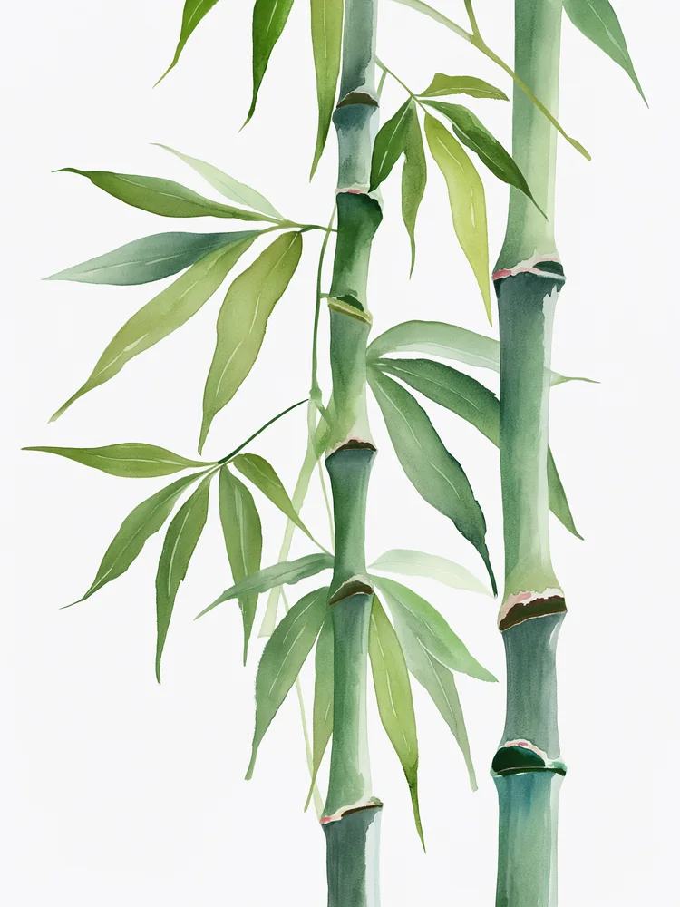 Suluboya Botanik Bambu Kanvas Tablo