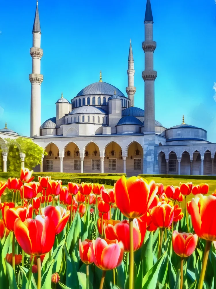 Laleler ve Edirne Selimiye Camii Kanvas Tablo