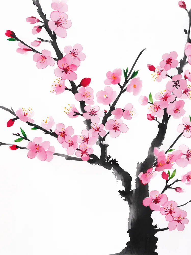 Mürekkep Sakura Dalı Kanvas Tablo