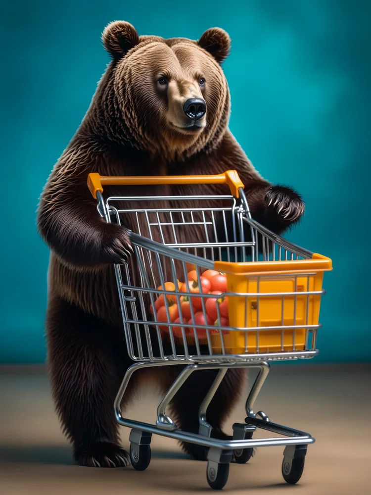 Market Alışverişi Yapan Ayı Kanvas Tablo