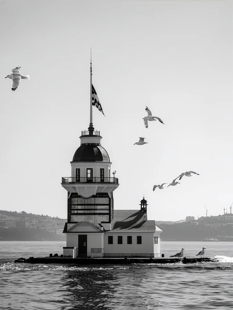 Minimal Siyah Beyaz Kız Kulesi Kanvas Tablo