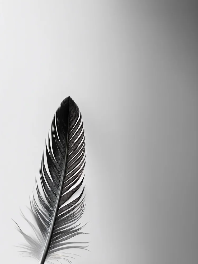 Minimal Siyah Beyaz Tüy Kanvas Tablo