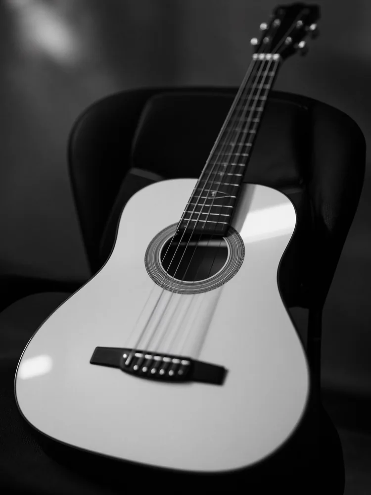 Siyah Beyaz Film Gitar Kanvas Tablo