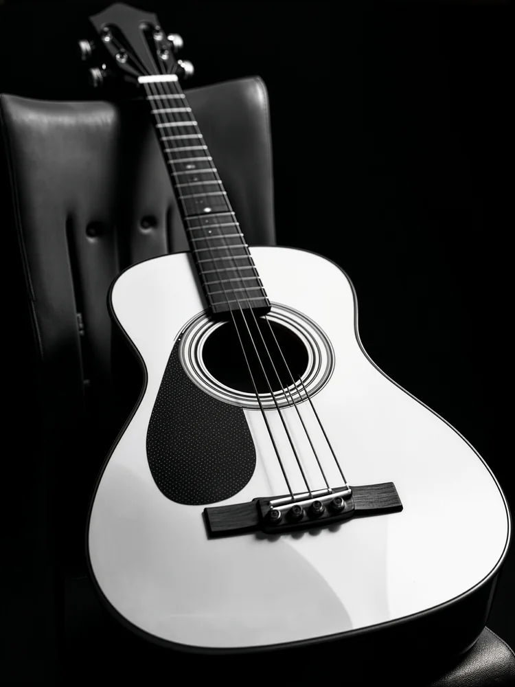 Siyah Beyaz Gitar Kanvas Tablo