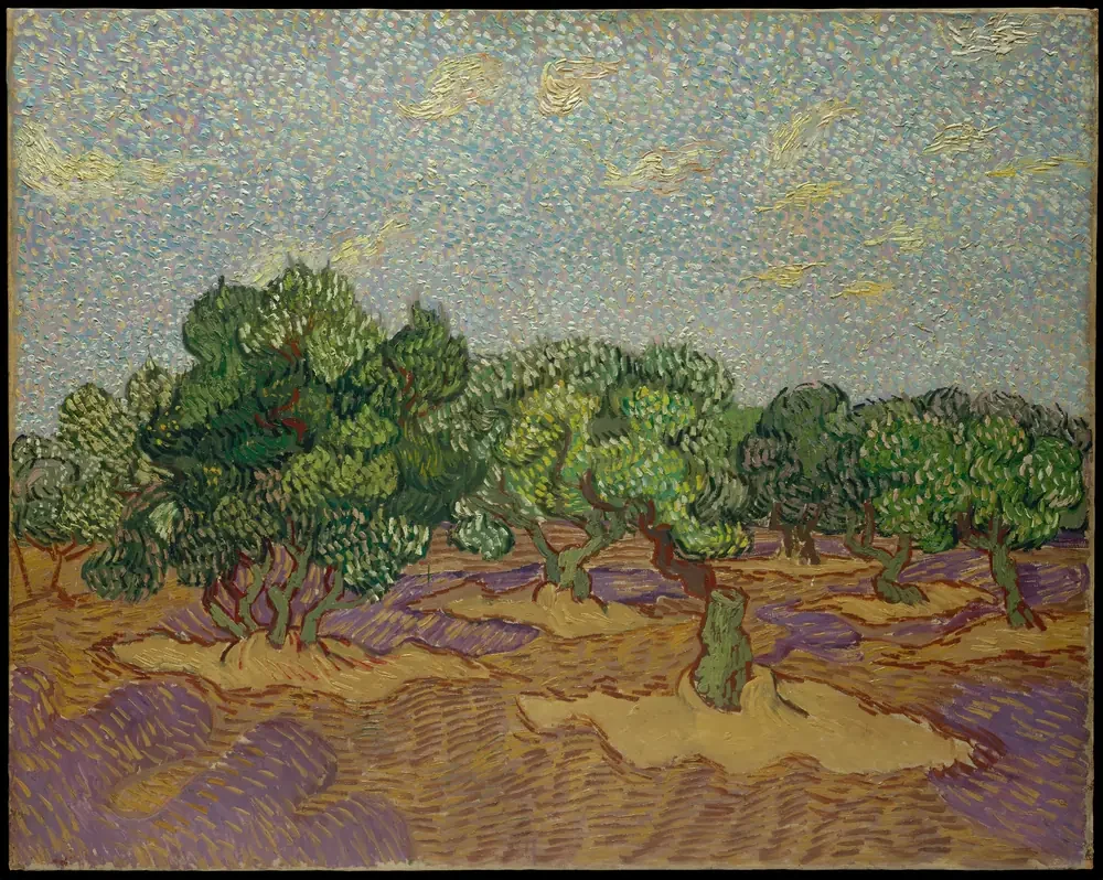 Van Gogh Zeytin Ağaçları Kanvas Tablo