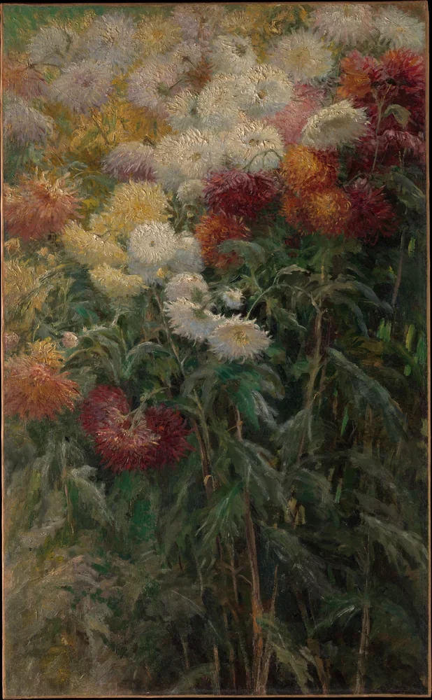 Gustave Caillebotte Bahçede Krizantemler Kanvas Tablo