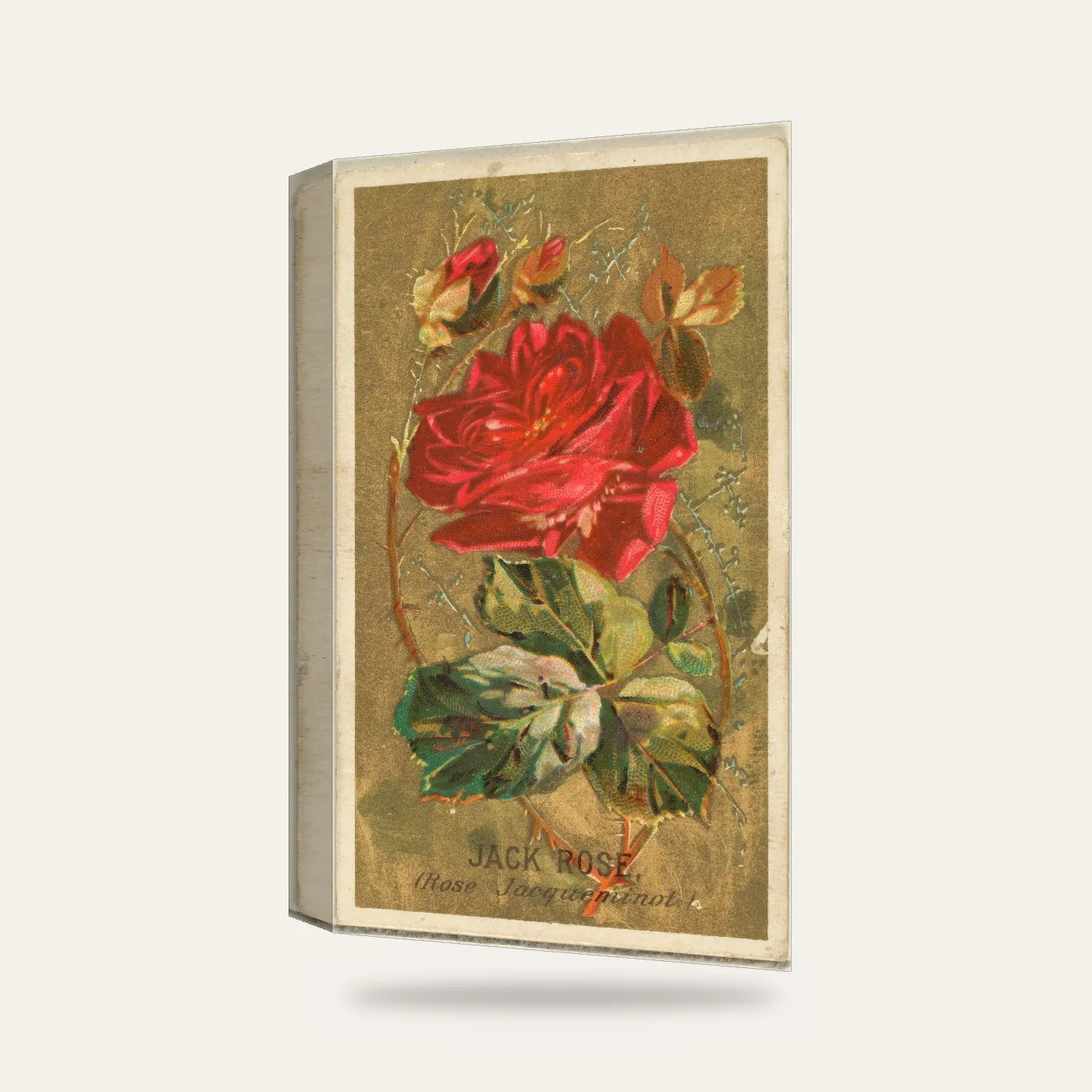 Goodwin & Company Vintage Kırmızı Gül Kartı Kanvas Tablo — 3 boyutlu görünüm