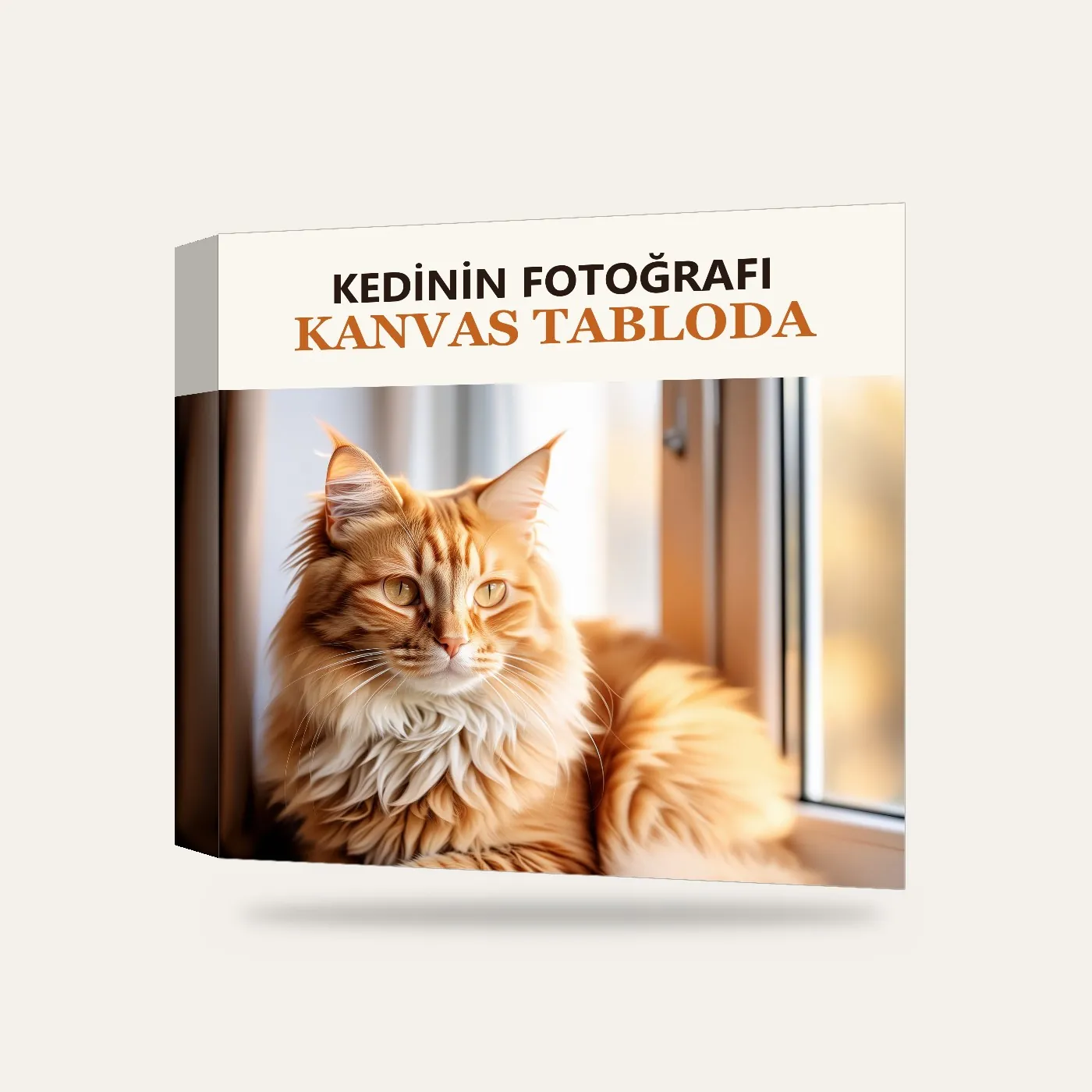 Kişiye Özel Kedi Fotoğrafı Kanvas Tablo — 3 boyutlu görünüm
