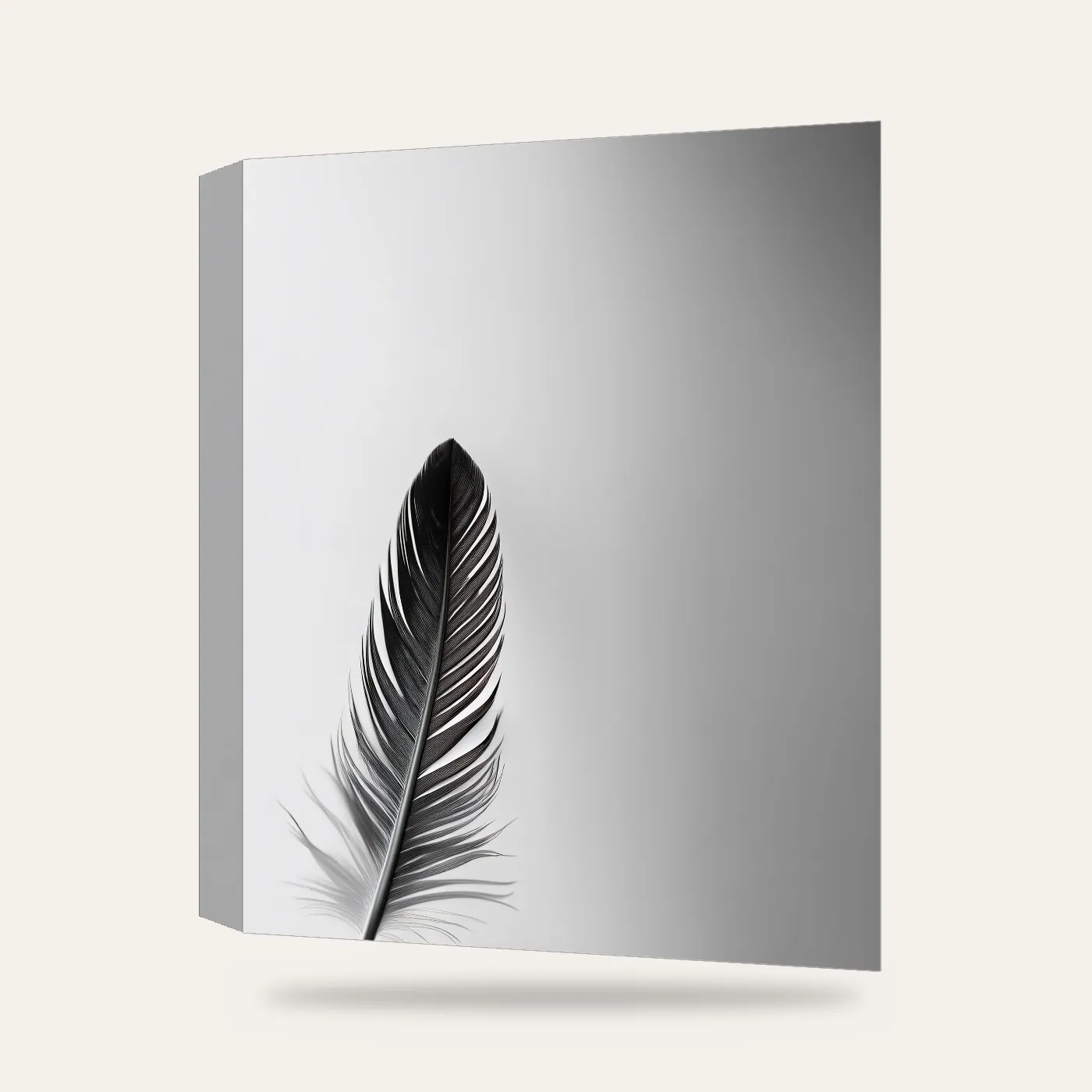 Minimal Siyah Beyaz Tüy Kanvas Tablo — 3 boyutlu görünüm
