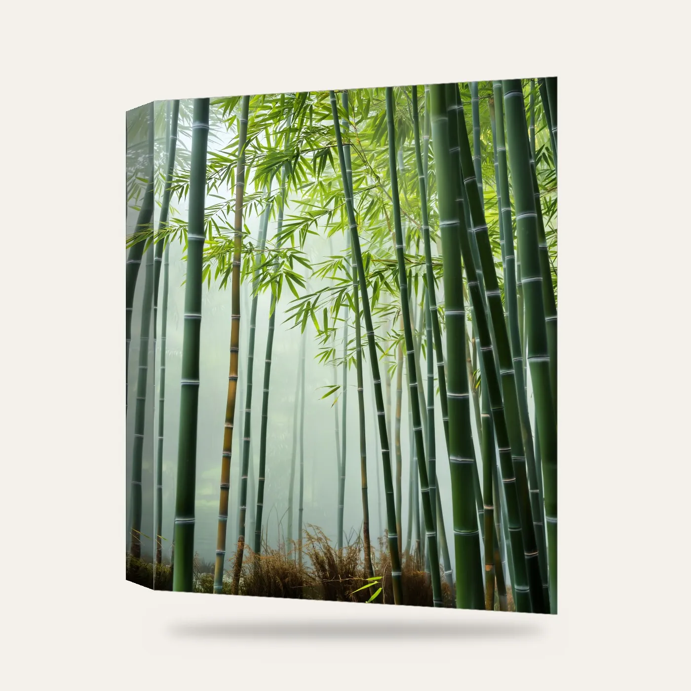 Modern Bambu Ormanı Kanvas Tablo — 3 boyutlu görünüm