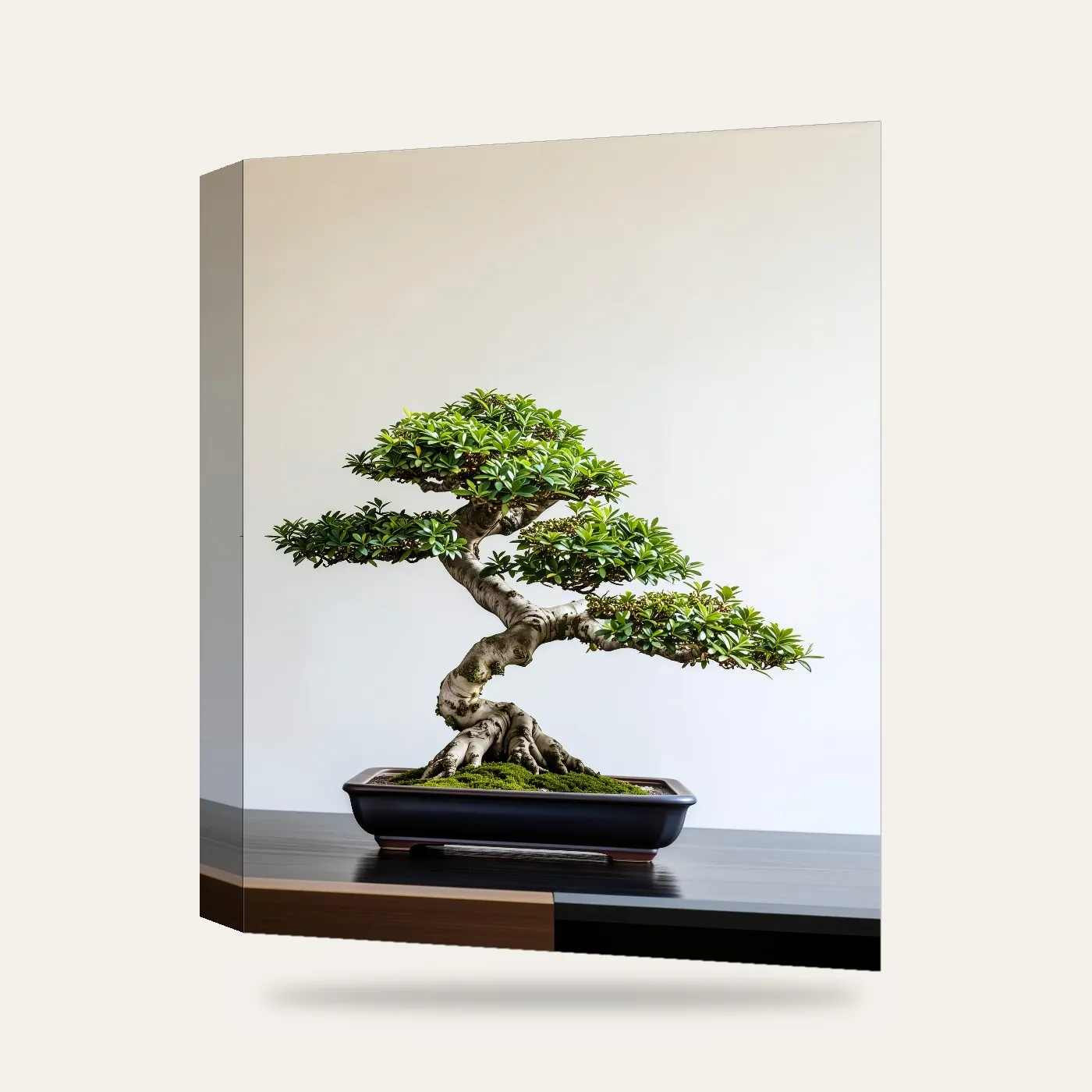 Modern Bonsai Ağacı Kanvas Tablo — 3 boyutlu görünüm
