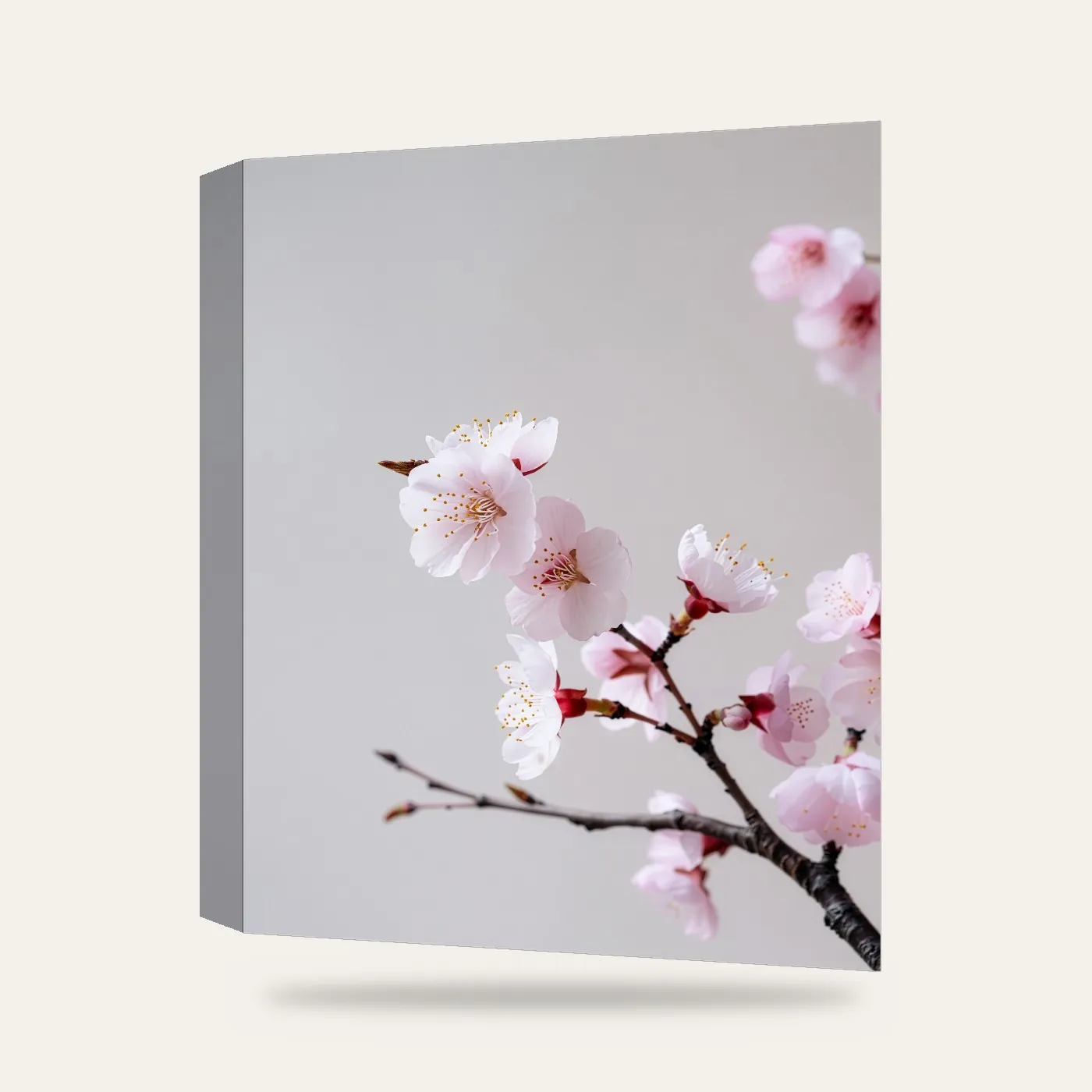 Modern Sakura Dalı Kanvas Tablo — 3 boyutlu görünüm