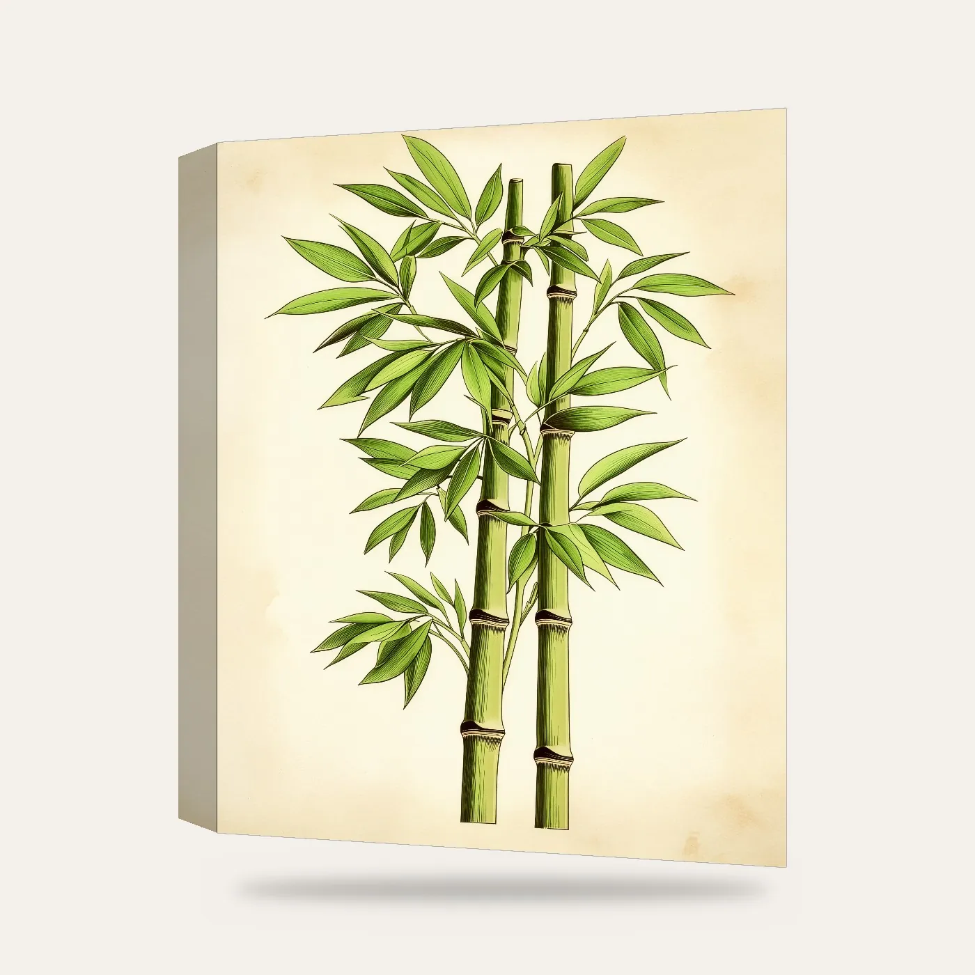 Vintage Botanik Bambu Kanvas Tablo — 3 boyutlu görünüm