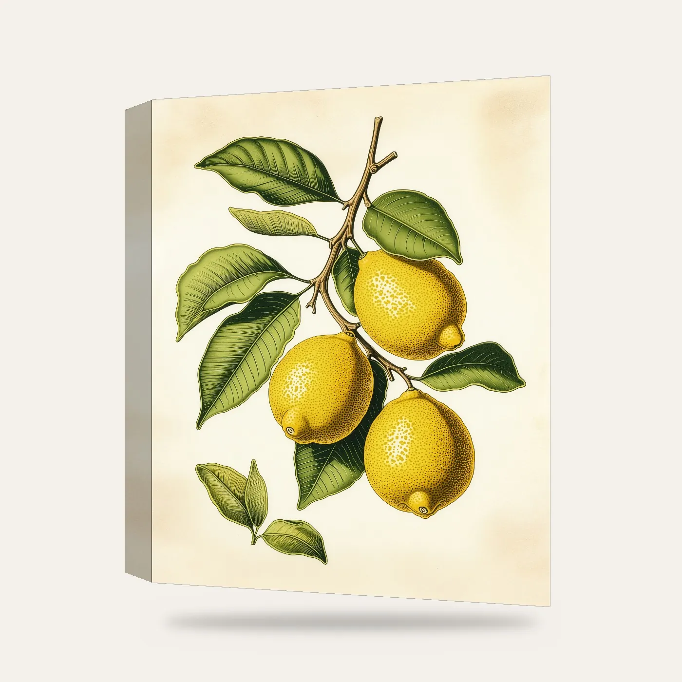 Vintage Botanik Limon Dalı Kanvas Tablo — 3 boyutlu görünüm