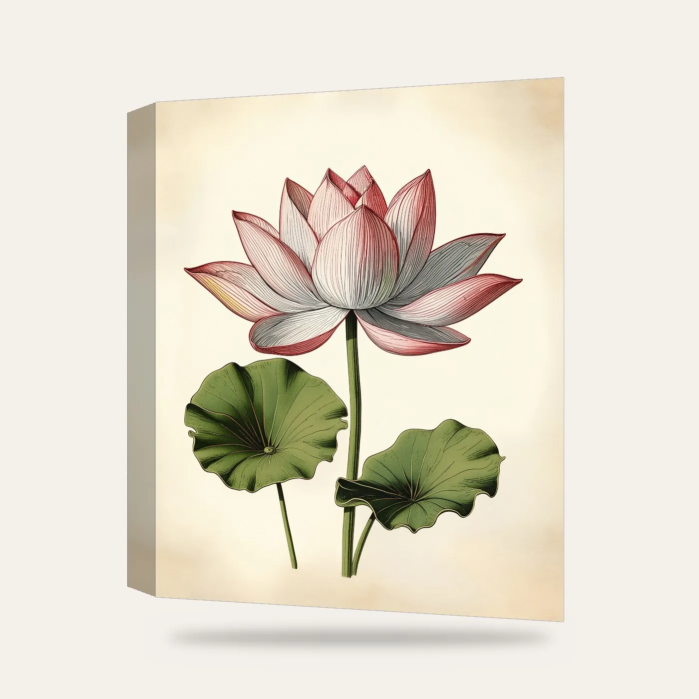 Vintage Botanik Lotus Kanvas Tablo — 3 boyutlu görünüm